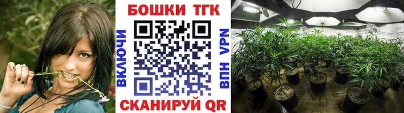 НБОМе Ленск