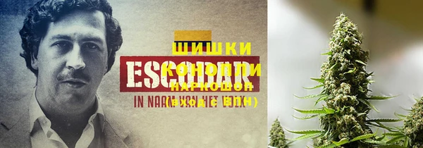 индика Лиски