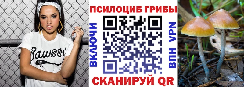 где купить   Ленск  Галлюциногенные грибы Psilocybe 